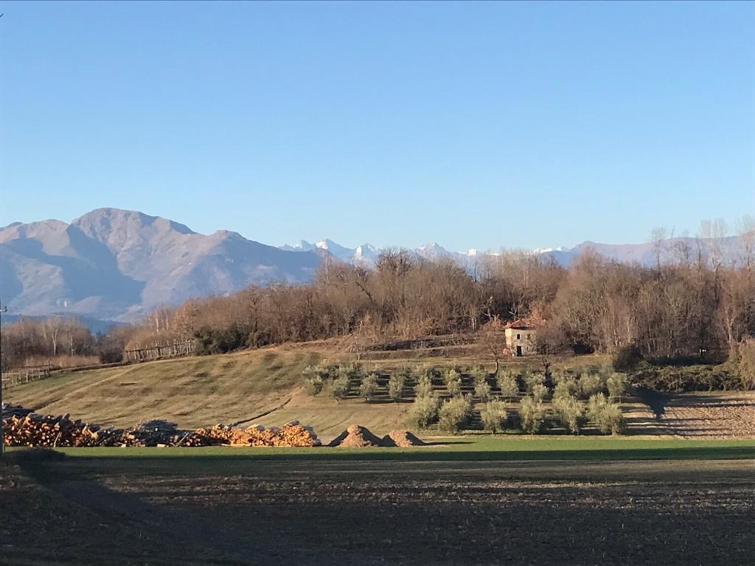 Panorama